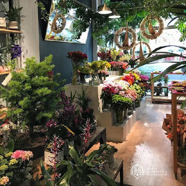 Escaparate y Decoracion Comercial Mario Echevarria: Floristeras-FLOWERS & EVENTS - Donostia