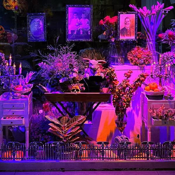 Escaparate y Decoracion Comercial Mario Echevarria: Floristeras-FLOWERS & EVENTS - Donostia